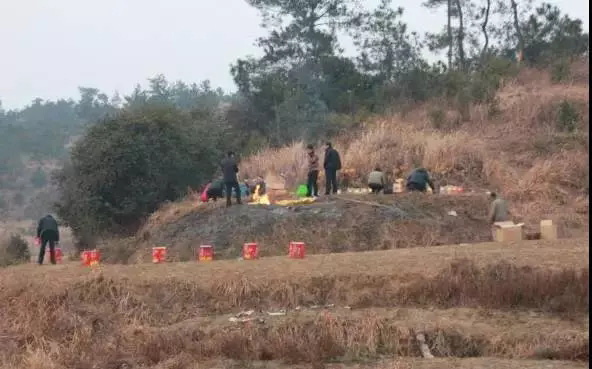 王牌说城 || 上官同君：把光山元宵节“送灯”习俗申报非物质文化遗产