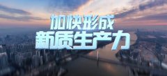 济南市委书记刘强：新质生产力如何融入招商引资？